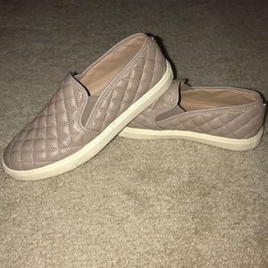 Steve Madden Ecentrcq